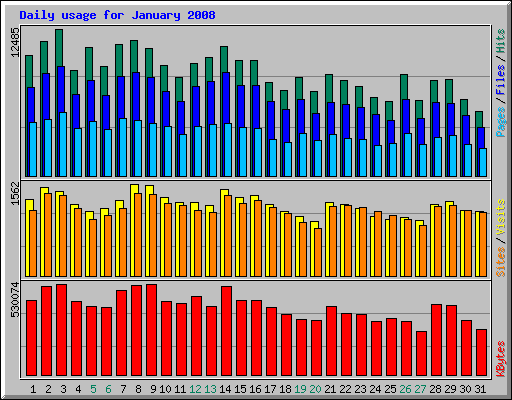 Daily usage for January 2008