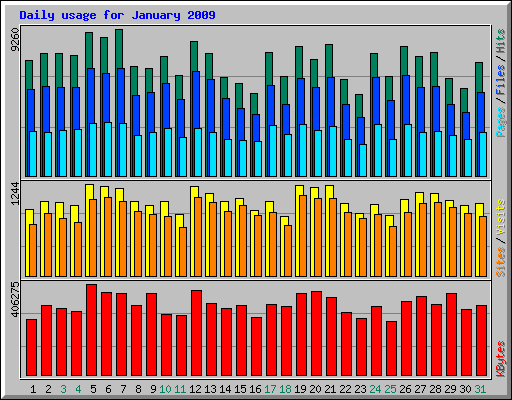 Daily usage for January 2009