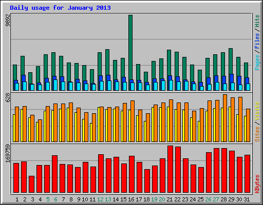 Daily usage for January 2013
