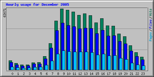 Hourly usage for December 2005