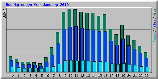 Hourly usage for January 2010