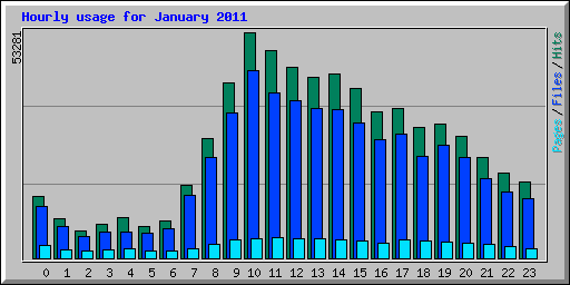 Hourly usage for January 2011