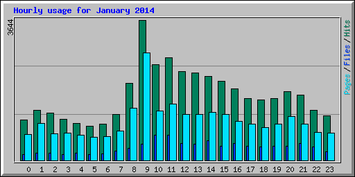 Hourly usage for January 2014