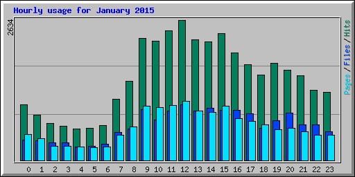 Hourly usage for January 2015