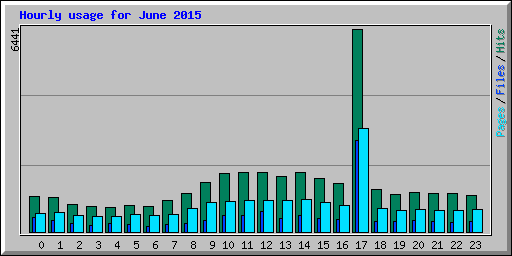 Hourly usage for June 2015