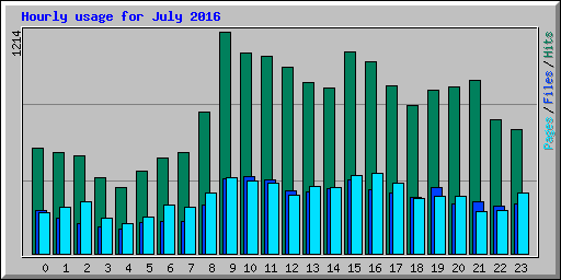 Hourly usage for July 2016