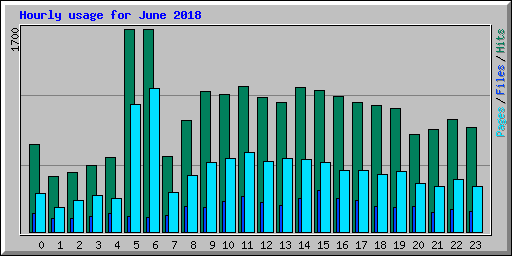 Hourly usage for June 2018