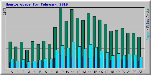 Hourly usage for February 2019