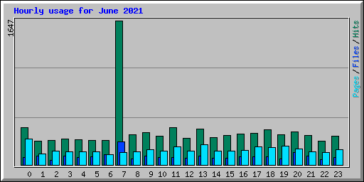 Hourly usage for June 2021