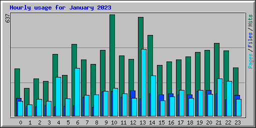 Hourly usage for January 2023