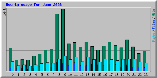 Hourly usage for June 2023