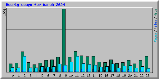 Hourly usage for March 2024