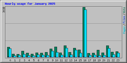 Hourly usage for January 2025