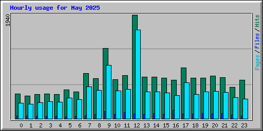 Hourly usage for May 2025