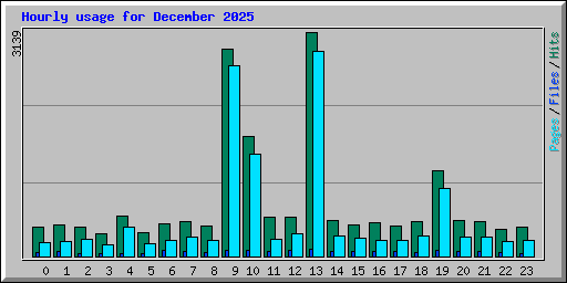 Hourly usage for December 2025