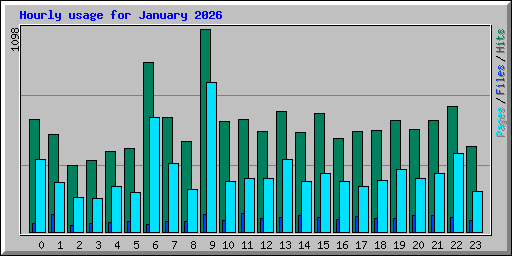 Hourly usage for January 2026